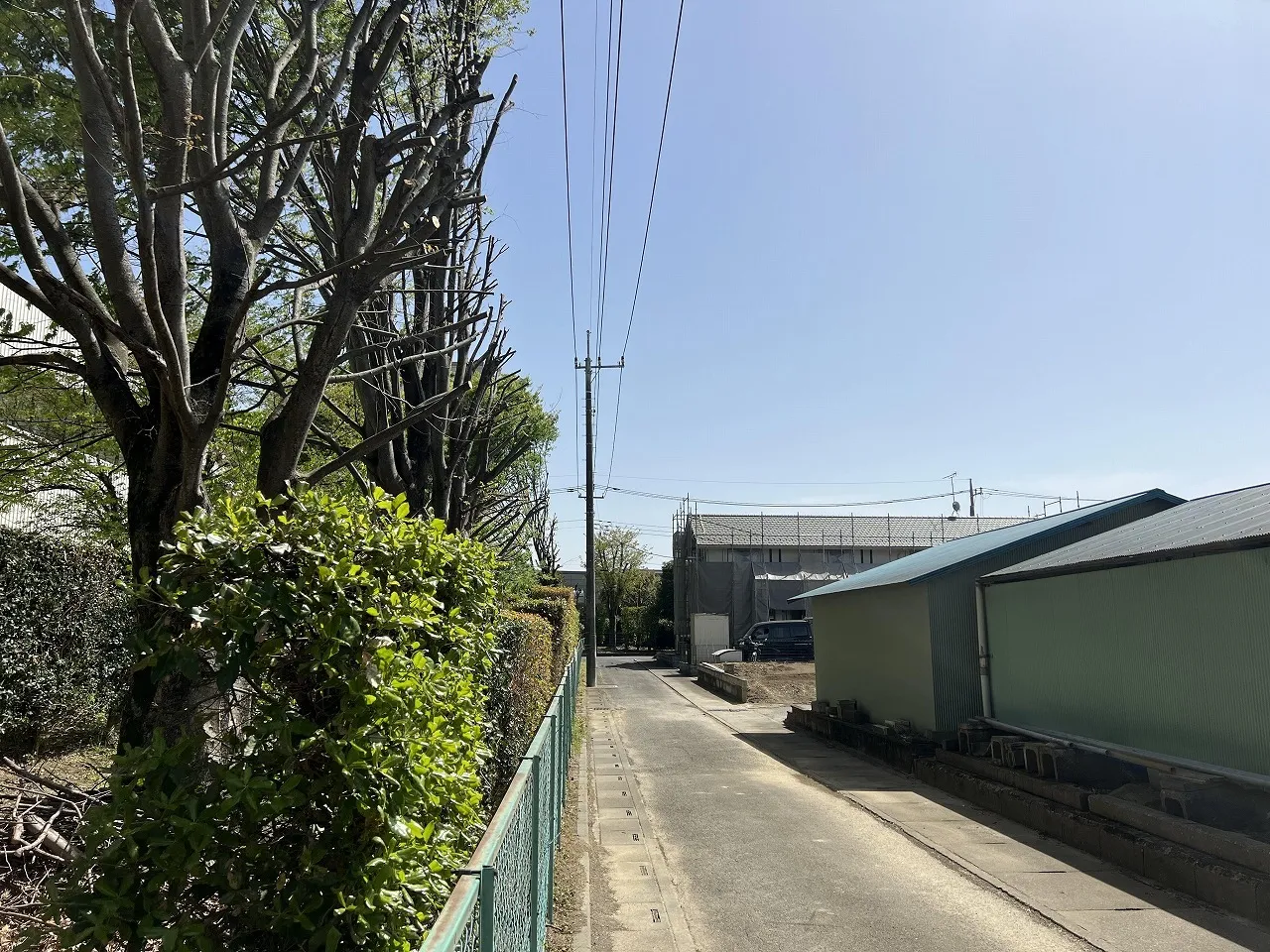 高木枝下ろし工事