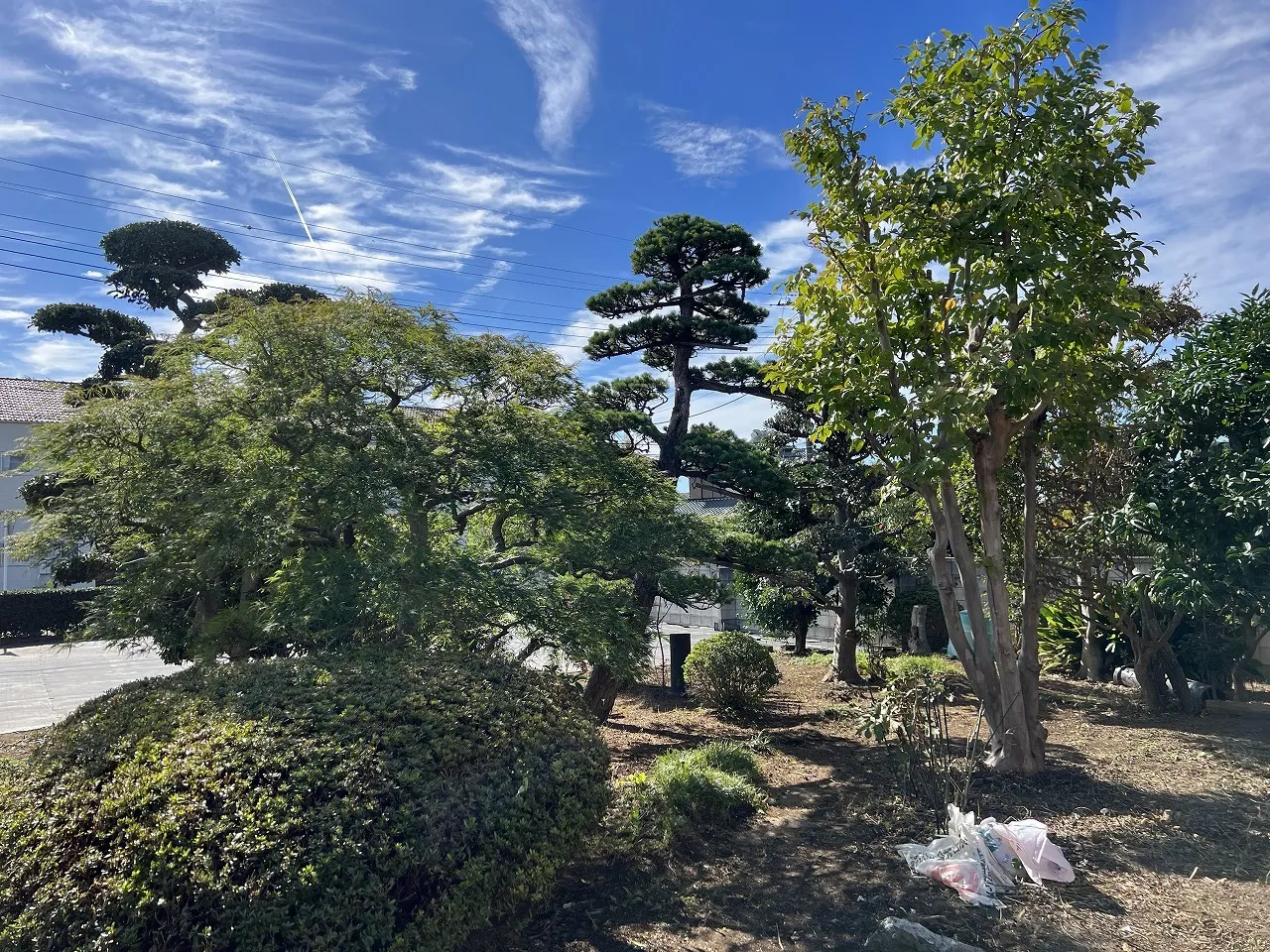 個人邸のお庭の手入れ