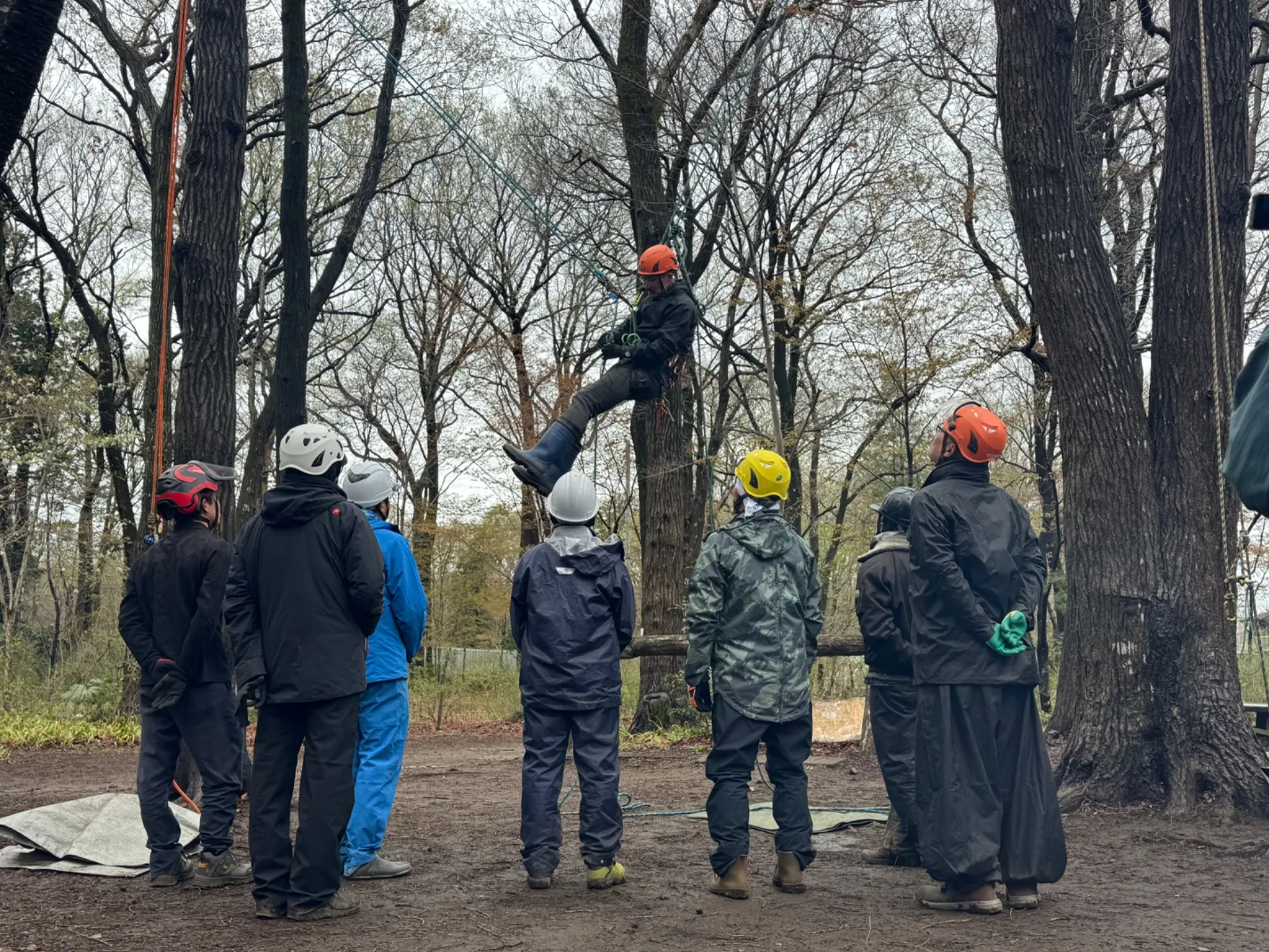 アーボリスト講習